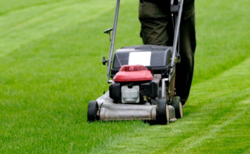 Palumbo's Residential Landscape Maintenance. A hands-on approach to a healthier lawn